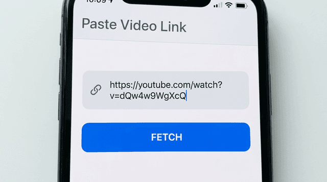 Paste link and click Fetch